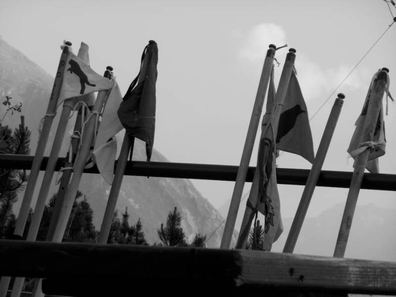 alpenstok